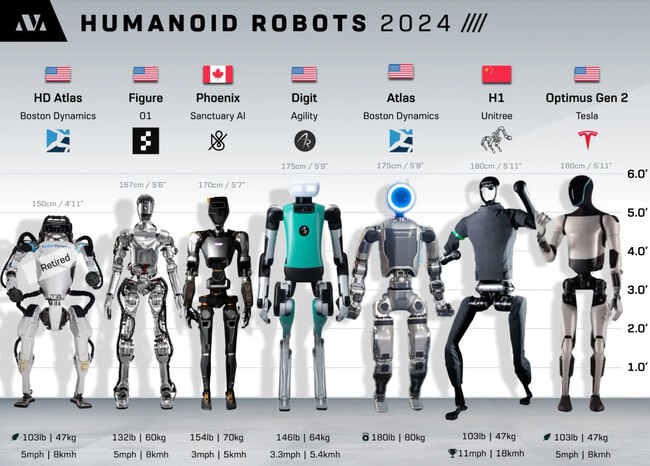 robótica humanoide